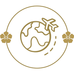 خدماتنا المقدمة